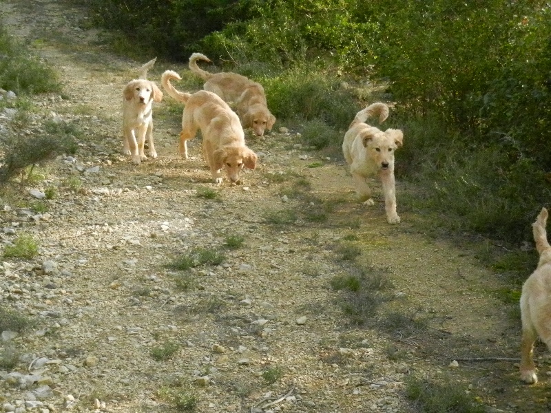 Un dimanche fin janvier 2012