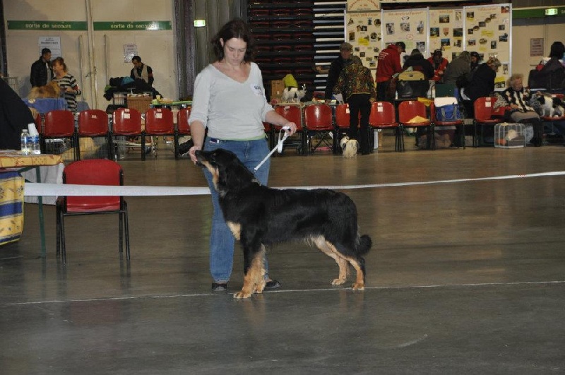 Exposition Nationale Martigues 26 novembre 2011