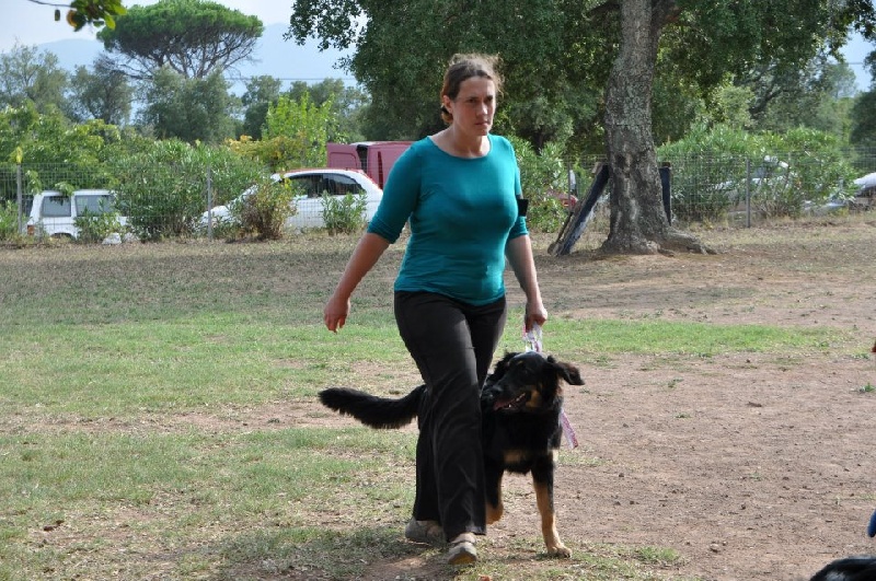 Régionale d'élevage 2012